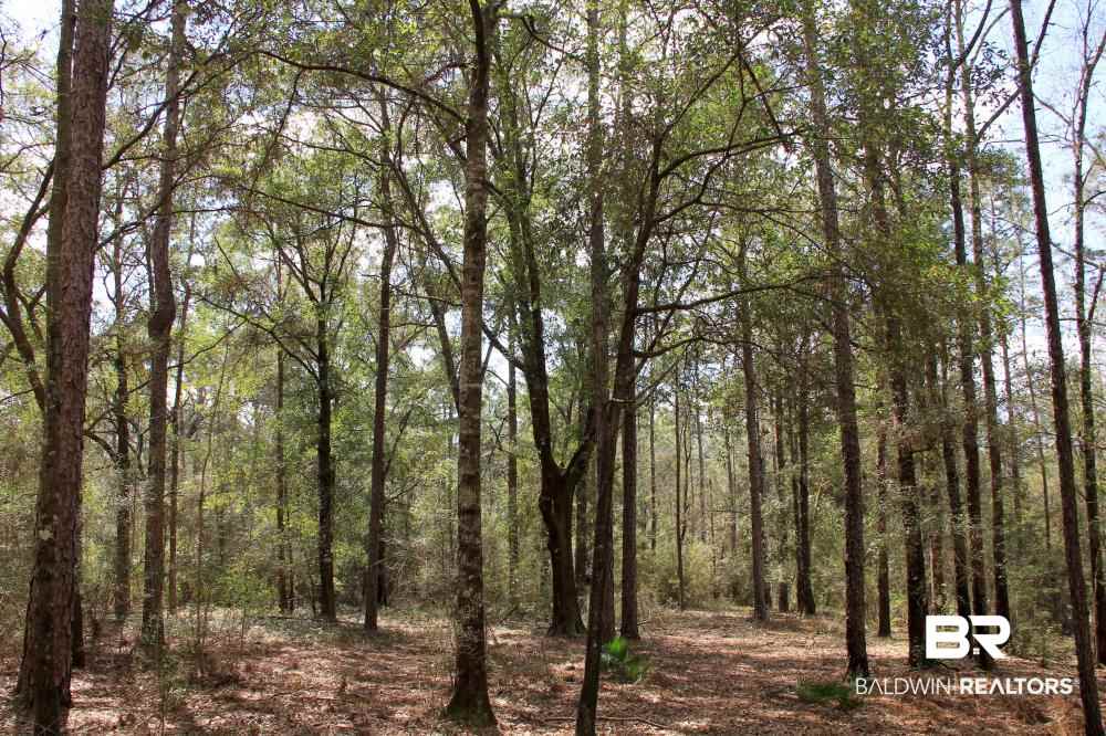 0 County Road 49 Loxley, AL 36551 - Photo 21 of 33