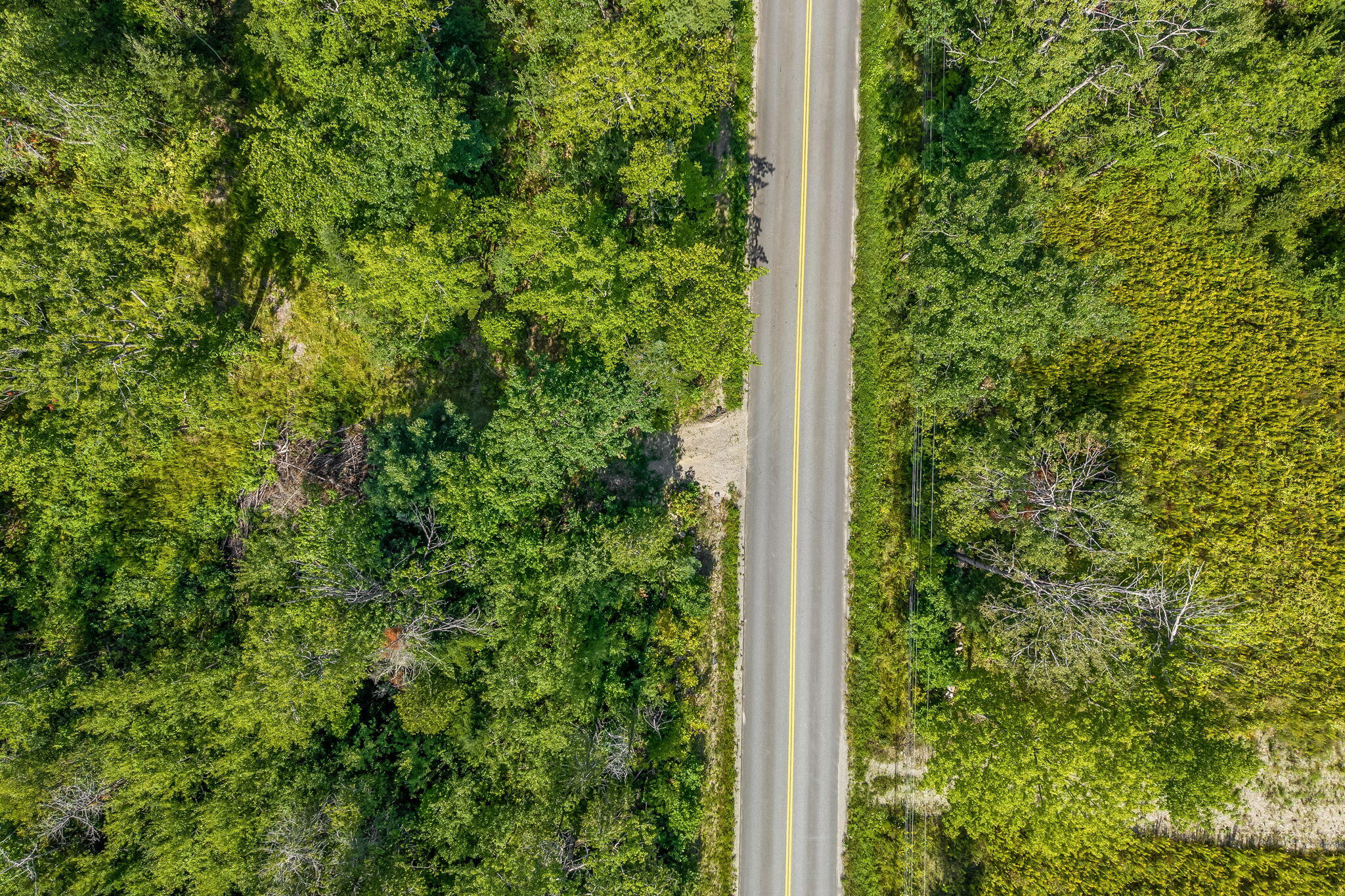 177 Shaw Hill Road Hampden, ME 04444 - Photo 5 of 18 5-web-or-mls-177-shaw-hill-rd