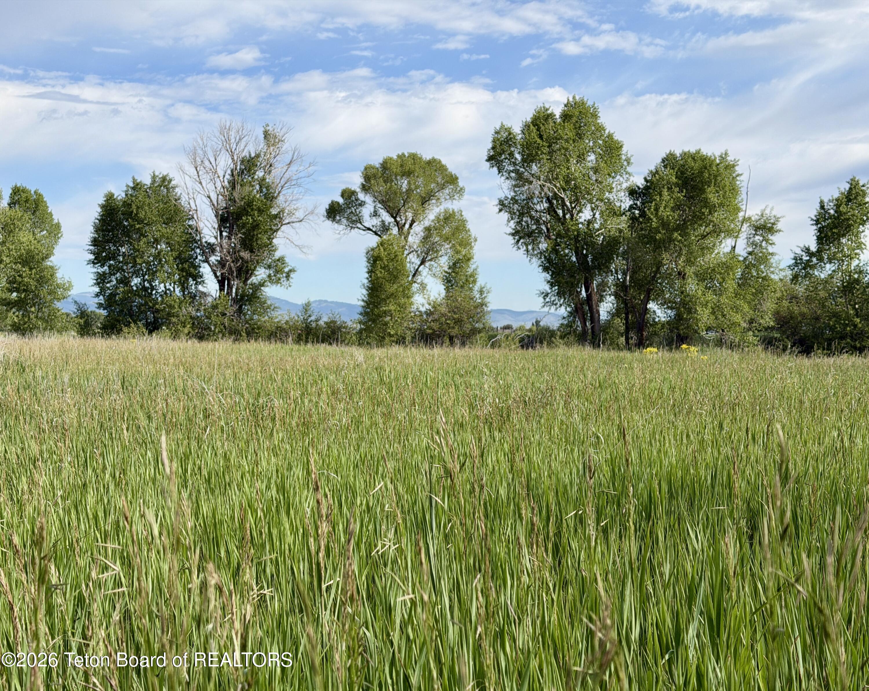 989 Dry Creek Road Afton, WY 83110 - Photo 127 of 129 IMG_1552