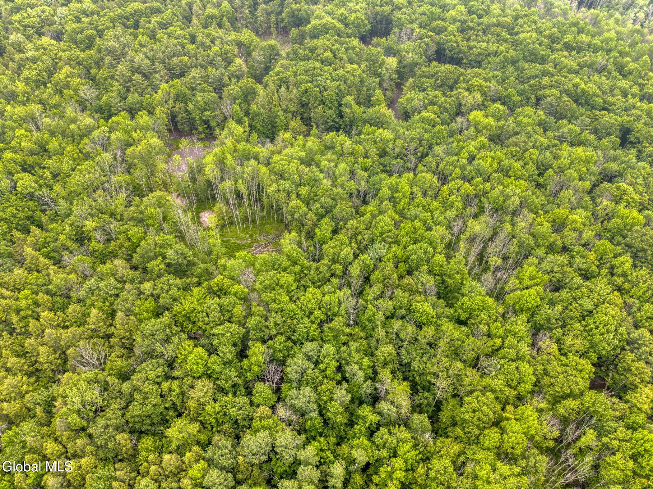 Tbd Boulder Brook Road, Unit LOT # 13 Windham, NY 12496 - Photo 38 of 49 Image-69