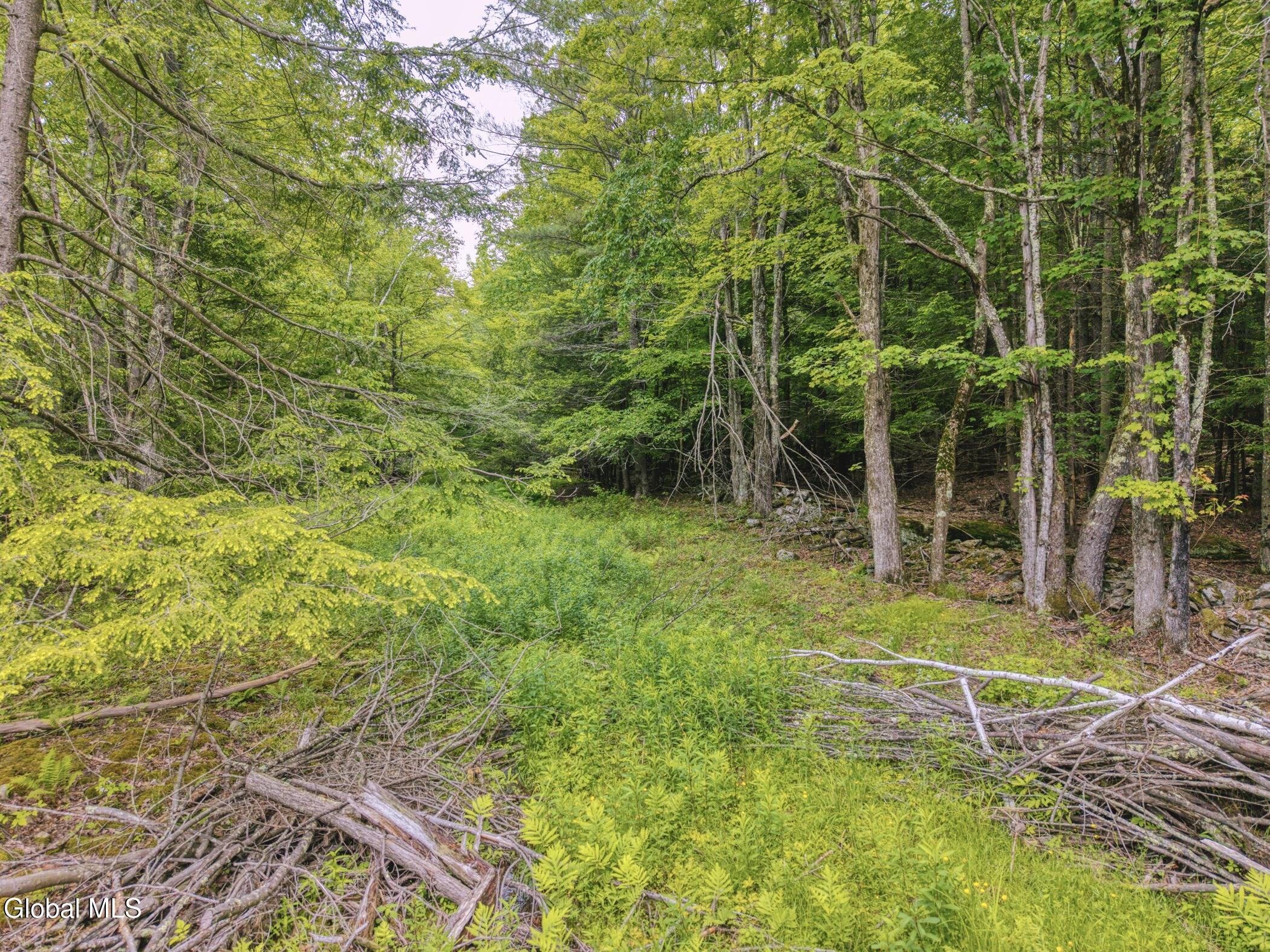 Tbd Boulder Brook Road, Unit LOT # 13 Windham, NY 12496 - Photo 6 of 49 Image-53