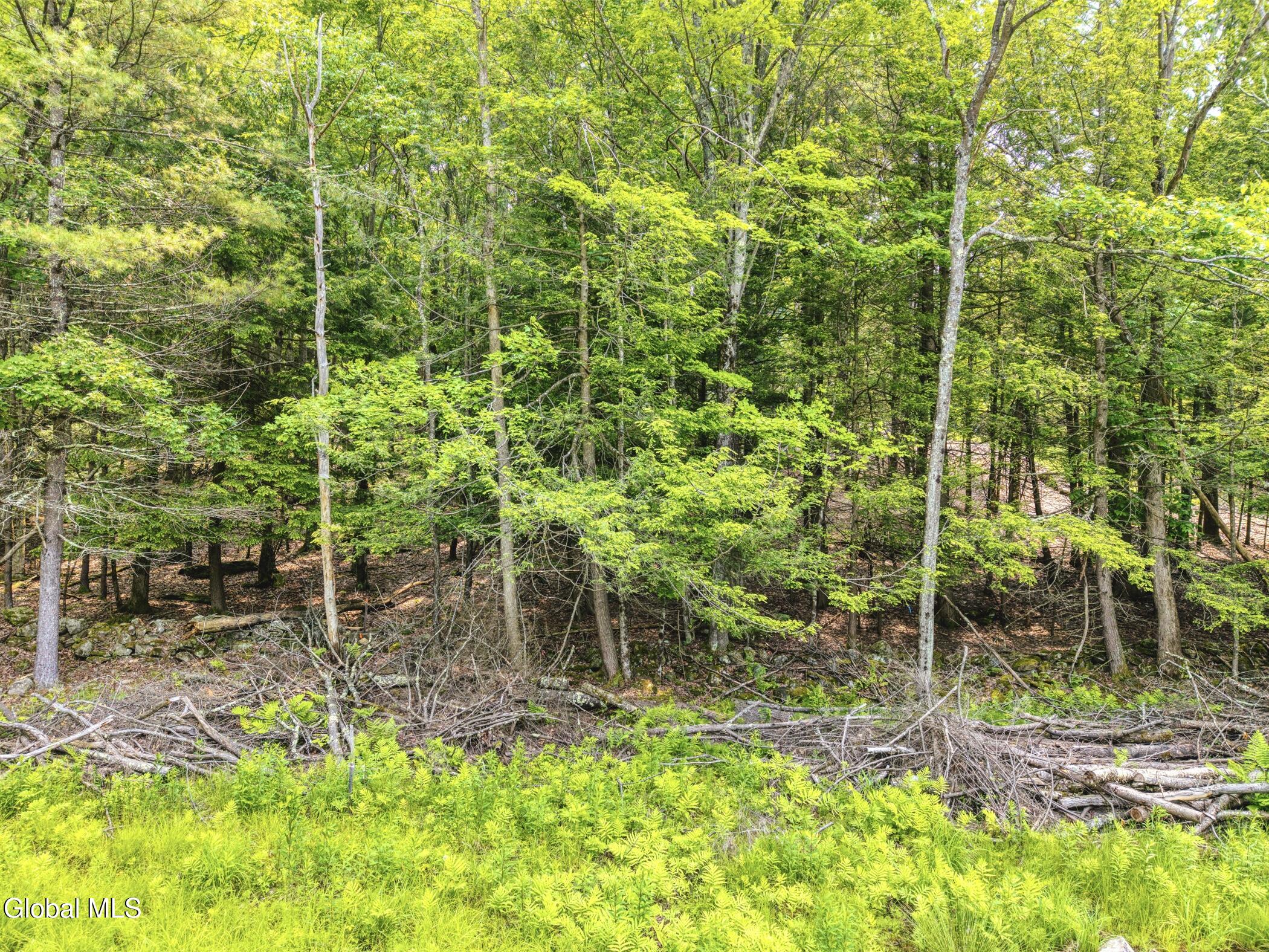 Tbd Boulder Brook Road, Unit LOT # 13 Windham, NY 12496 - Photo 7 of 49 Image-57