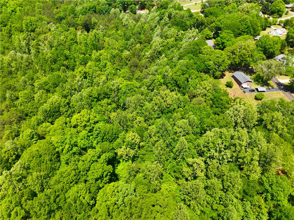 1 Luna Lane Central, SC 29630 - Photo 11 of 11