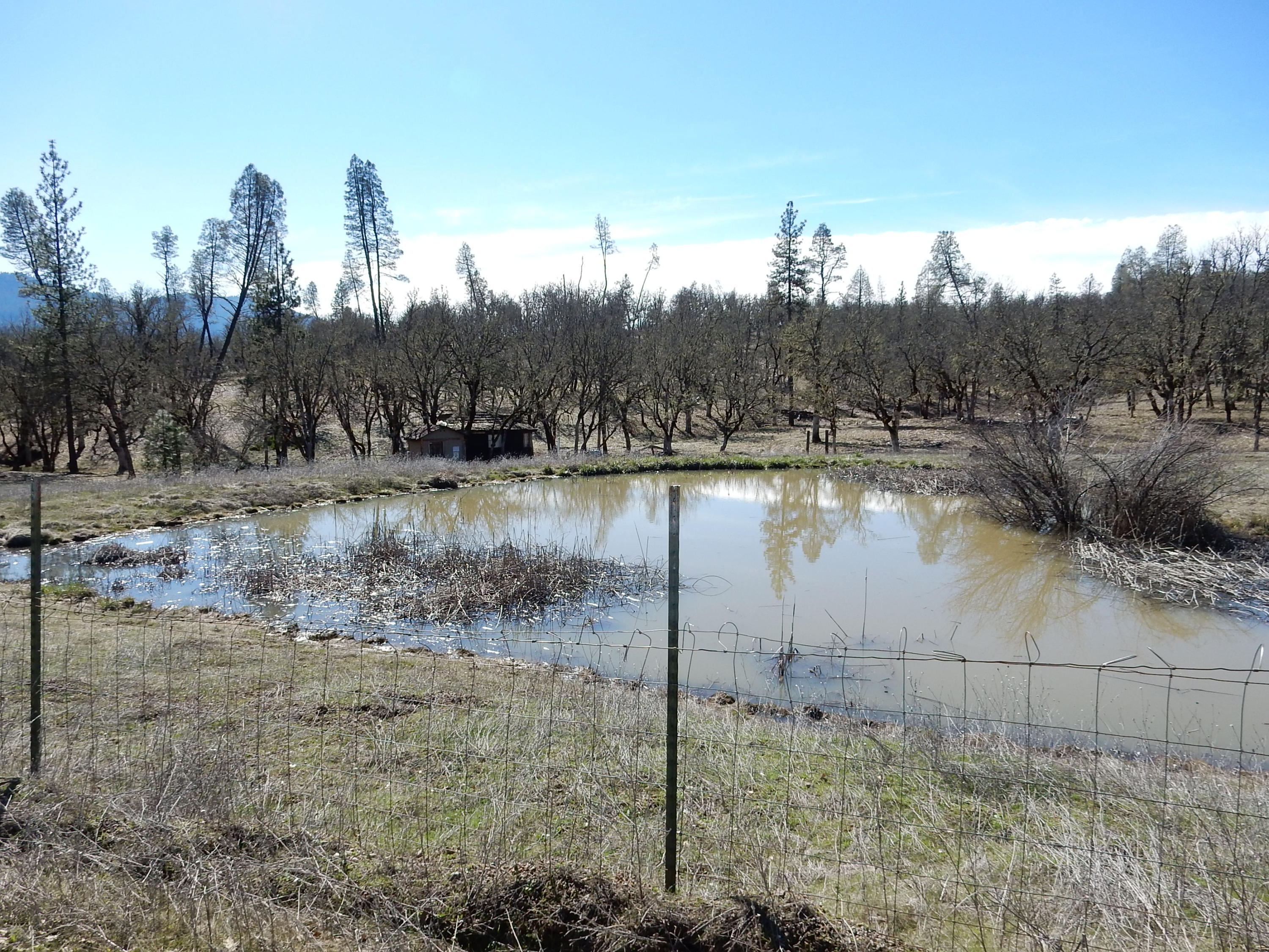 1010 Farmer Ranch Road Hayfork, CA 96041 - Photo 36 of 36 Gallery Image 36