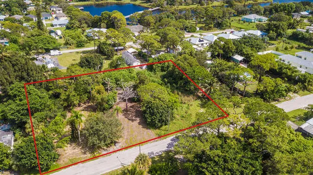 a view of a garden with plants