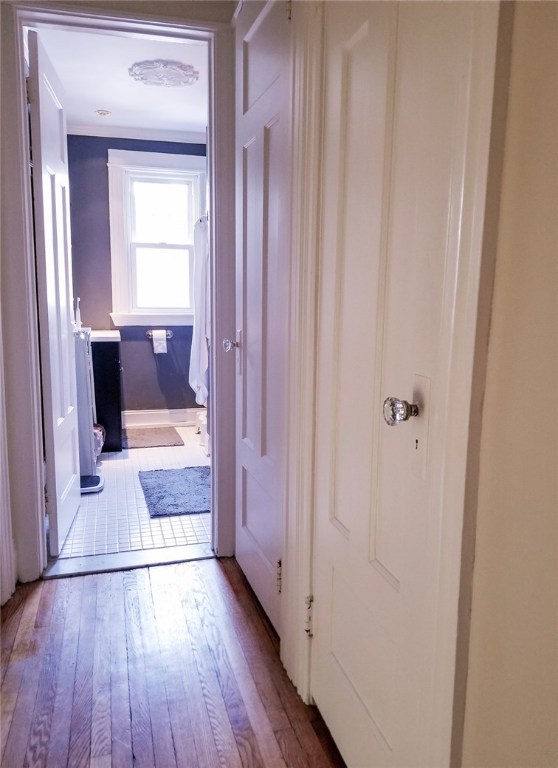 268 Milburn Street Rochester, NY 14607 - Photo 12 of 15