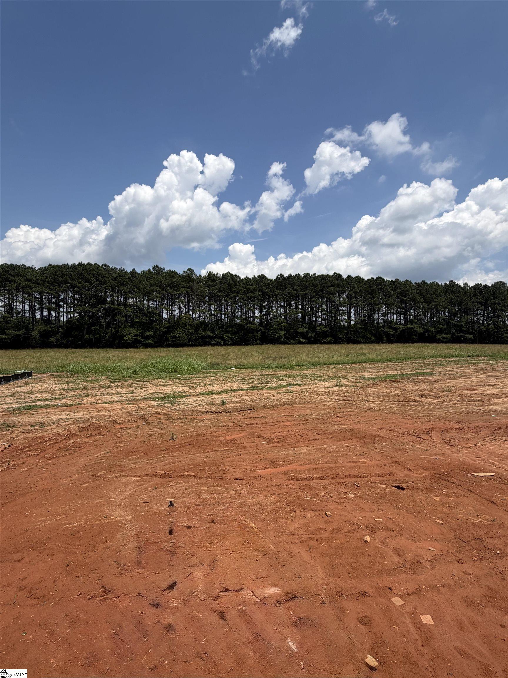 314 Richey Road, Unit SITE 2 Pelzer, SC 29669 - Photo 11 of 25
