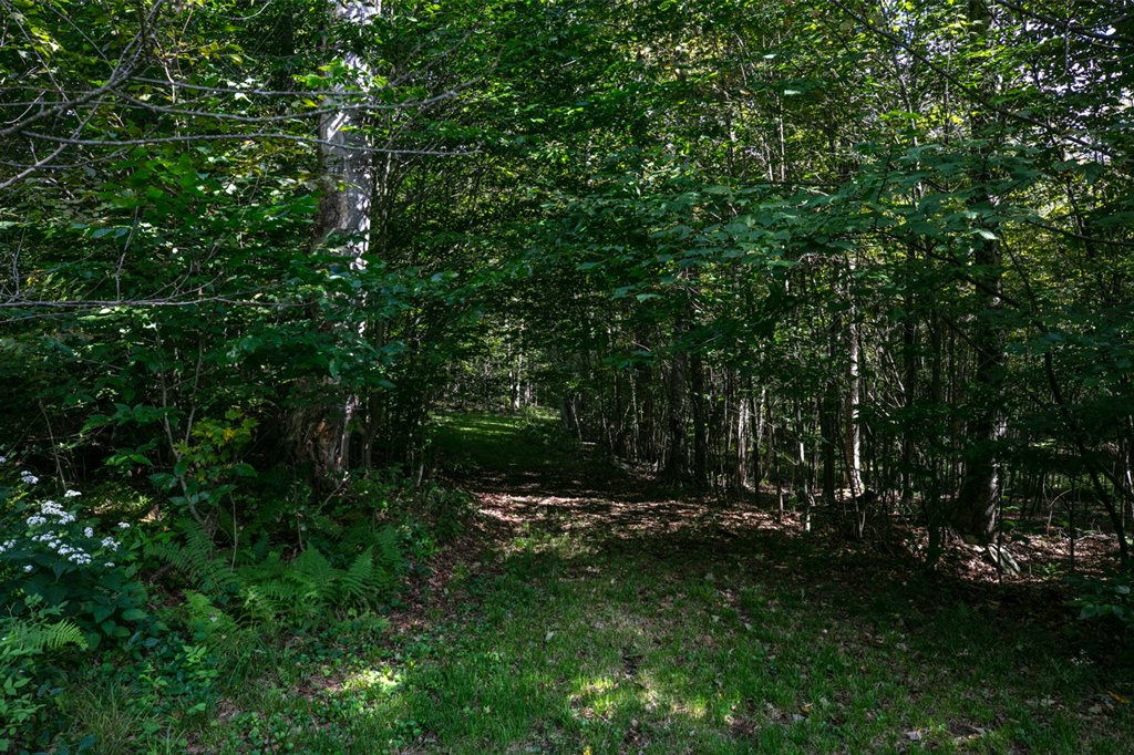 91 South Elk Run Road Wellsboro, PA 16901 - Photo 70 of 75 Gallery Image 70