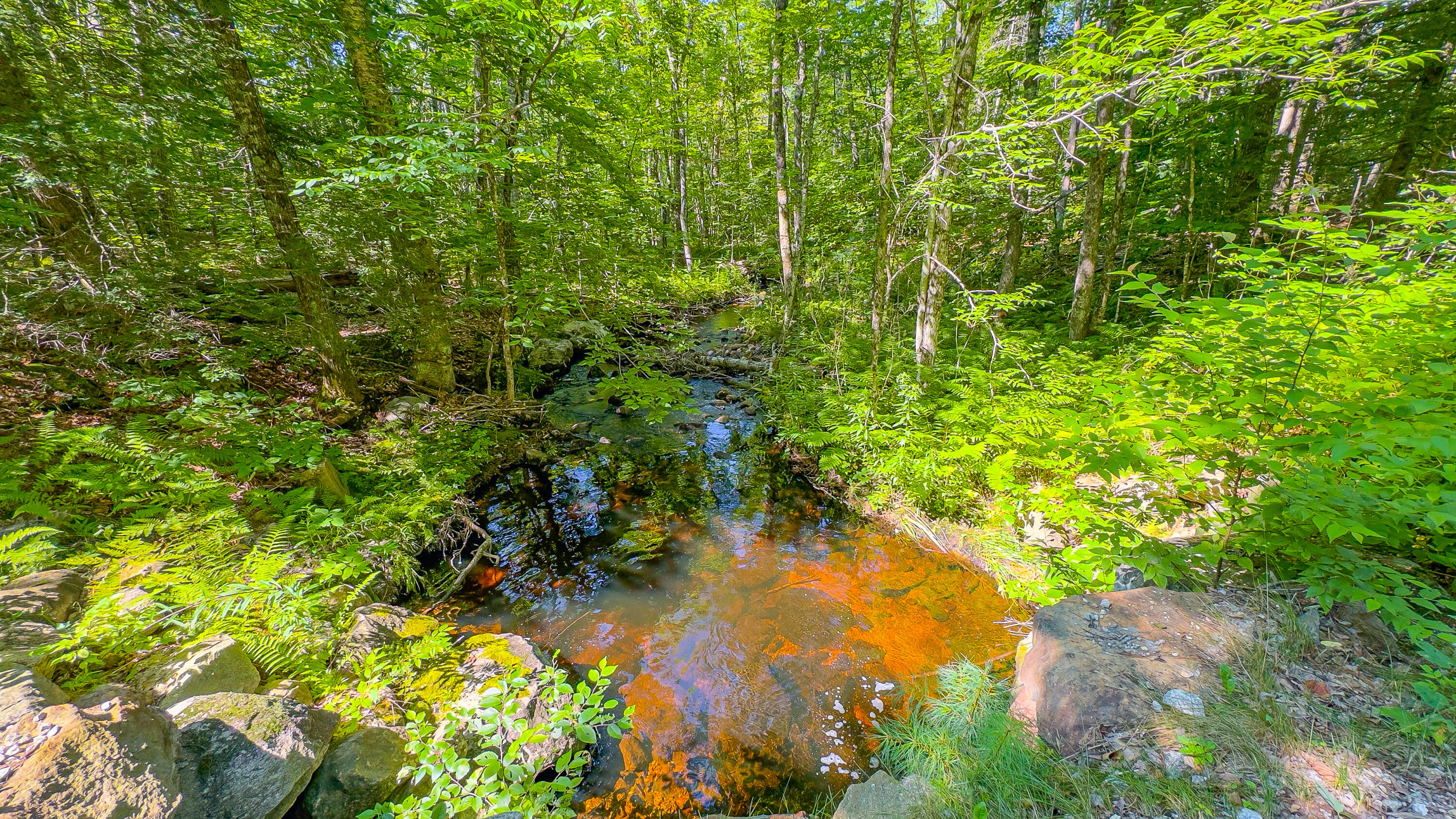 21 Bradley Pond Road Lovell, ME 04051 - Photo 24 of 64 bradley pond road-19