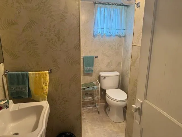 a white toilet sitting next to a bathroom sink