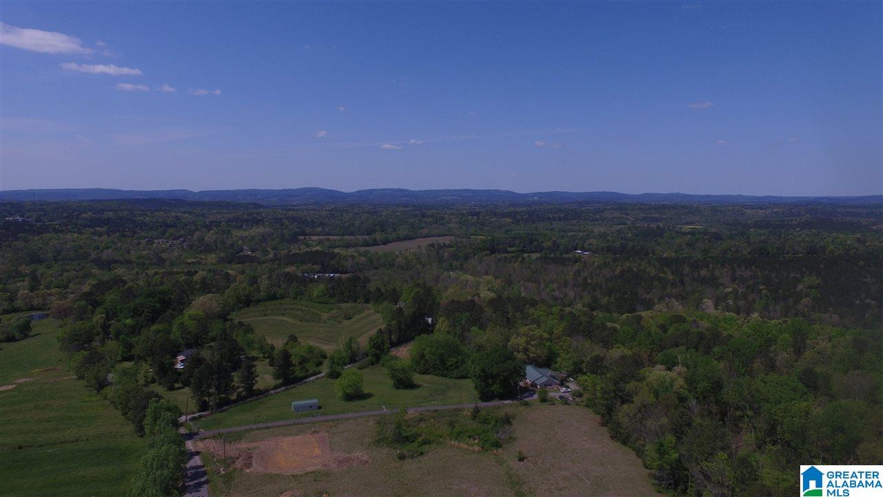 495 Hollingsworth Road Cleveland, AL 35049 - Photo 1 of 2