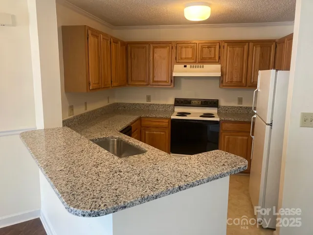 a kitchen with a sink a stove and a refrigerator