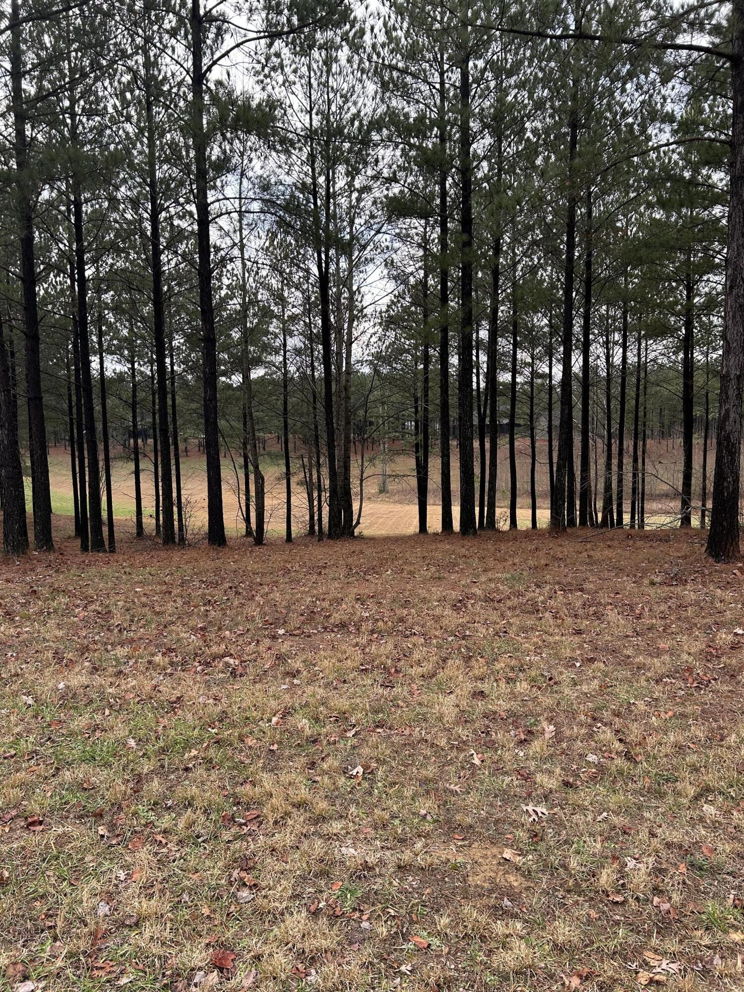 203 Pappy Road, Unit SV204 Jasper, TN 37347 - Photo 2 of 40 IMG_6678