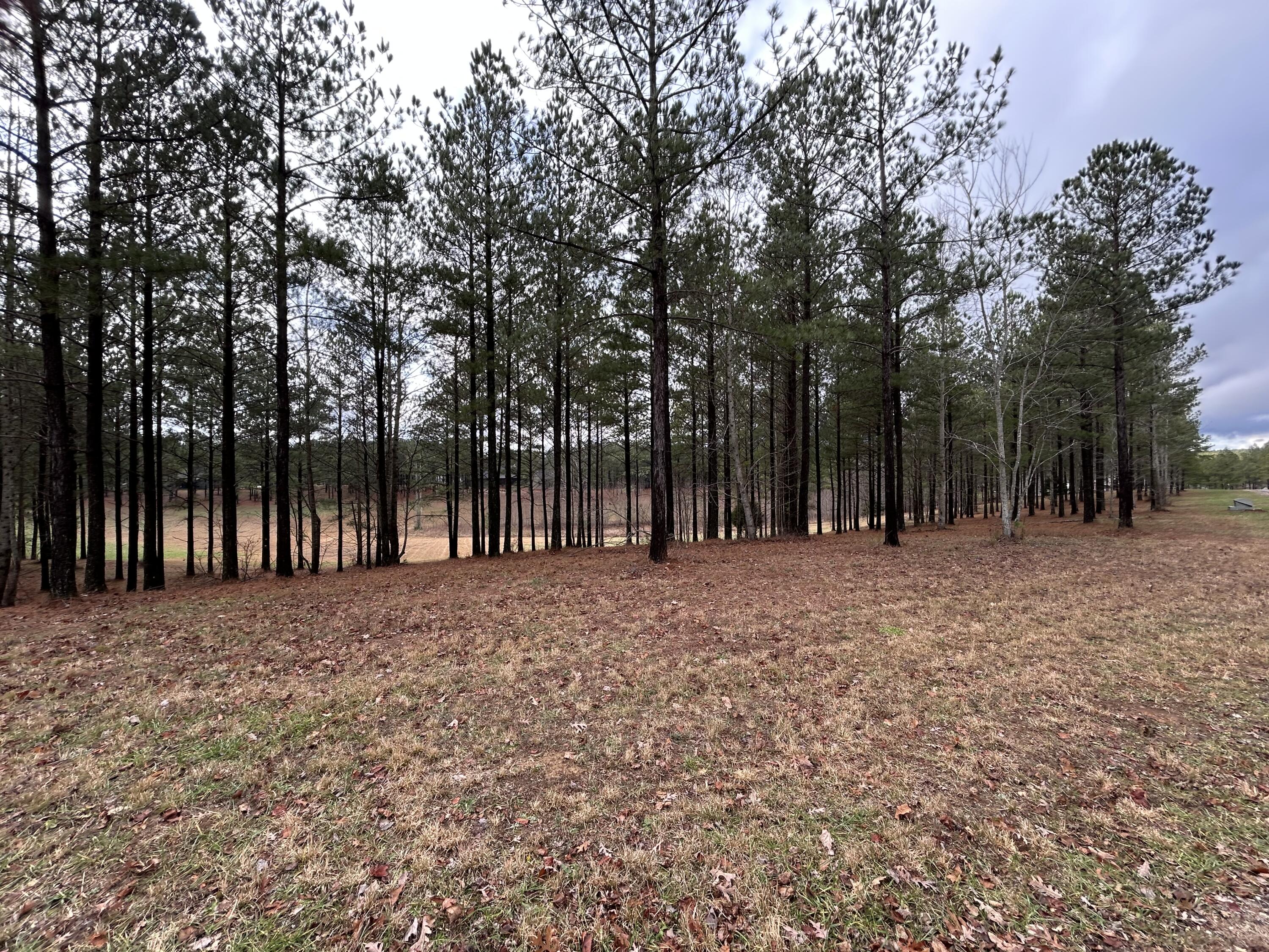 203 Pappy Road, Unit SV204 Jasper, TN 37347 - Photo 3 of 40 IMG_6679