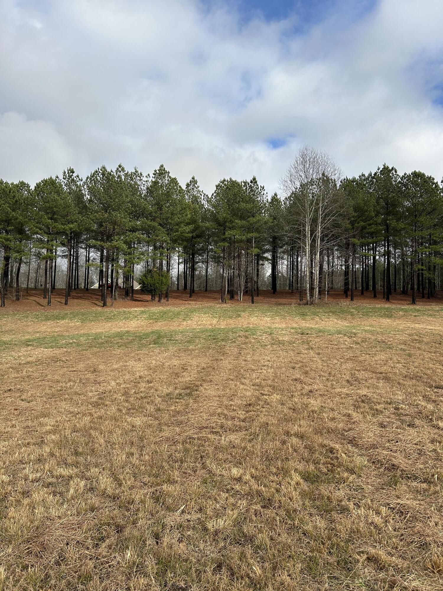 203 Pappy Road, Unit SV204 Jasper, TN 37347 - Photo 6 of 40 IMG_6684