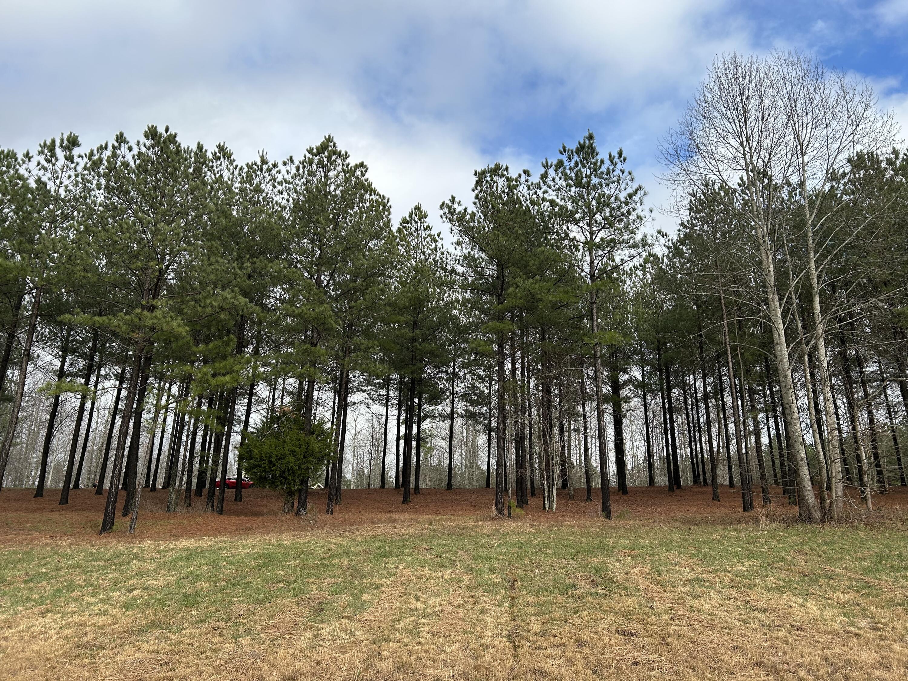203 Pappy Road, Unit SV204 Jasper, TN 37347 - Photo 8 of 40 IMG_6686