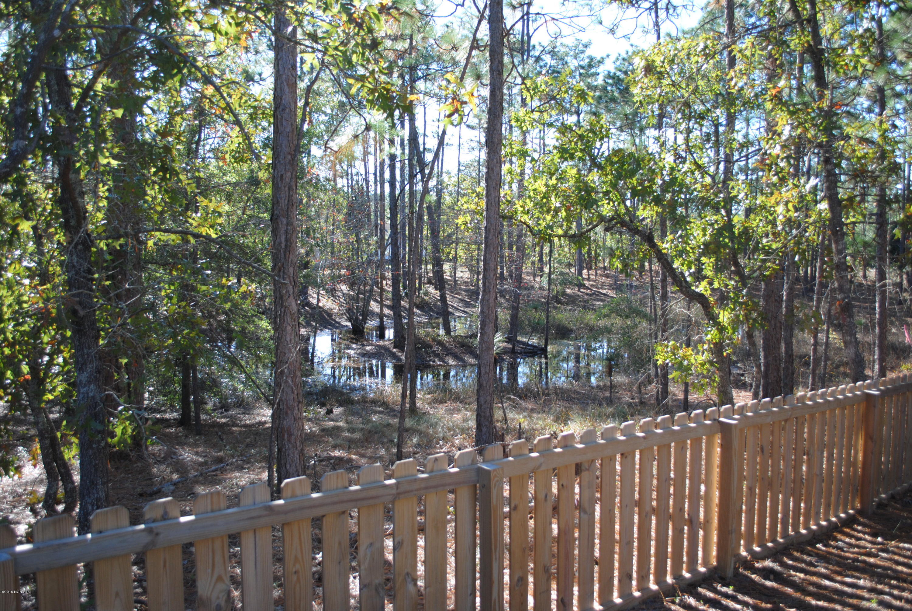 32 South High Point Road, Unit S Boiling Spring Lakes, NC 28461 - Photo 32 of 38 Water view. Pond can dry up in drought conditions.