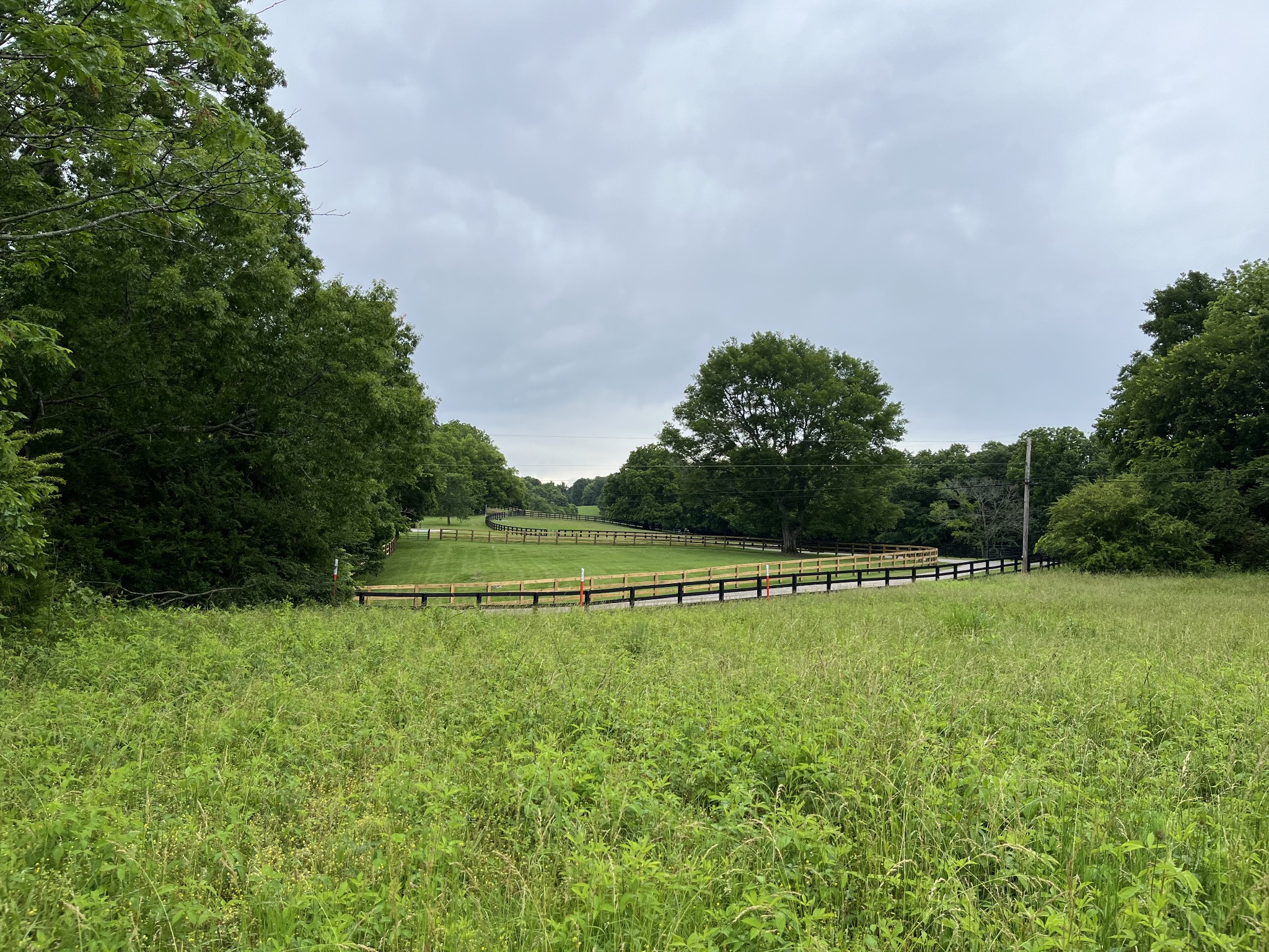 0 Rieves Bend Road Columbia, TN 38401 - Photo 20 of 21 Gallery Image 20