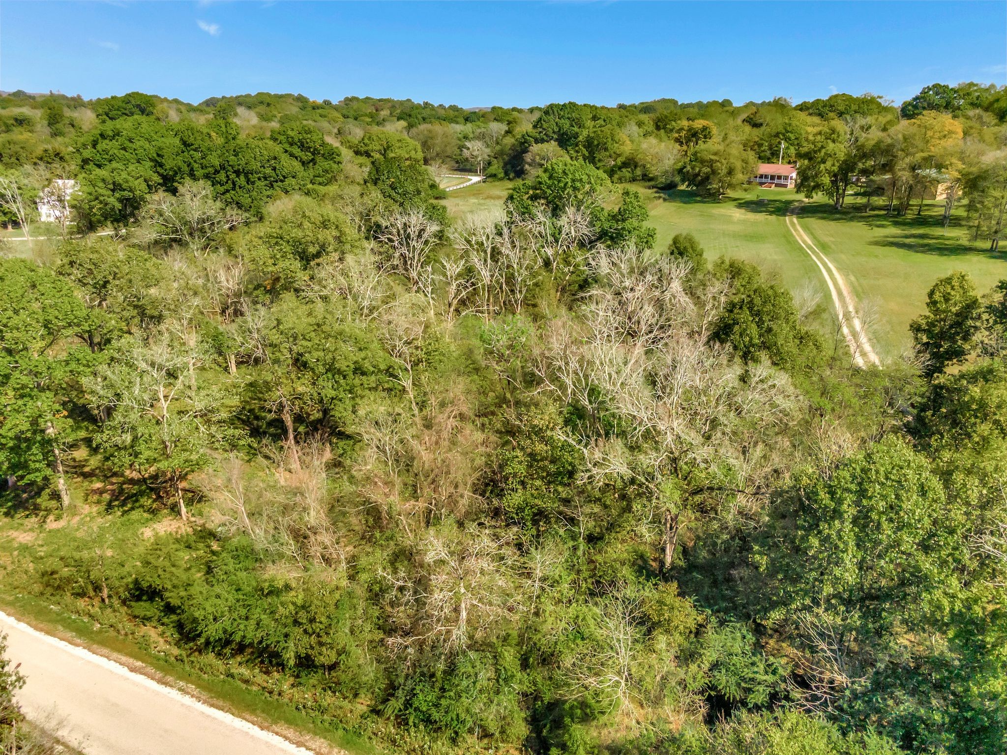 0 Rieves Bend Road Columbia, TN 38401 - Photo 9 of 21 Gallery Image 9