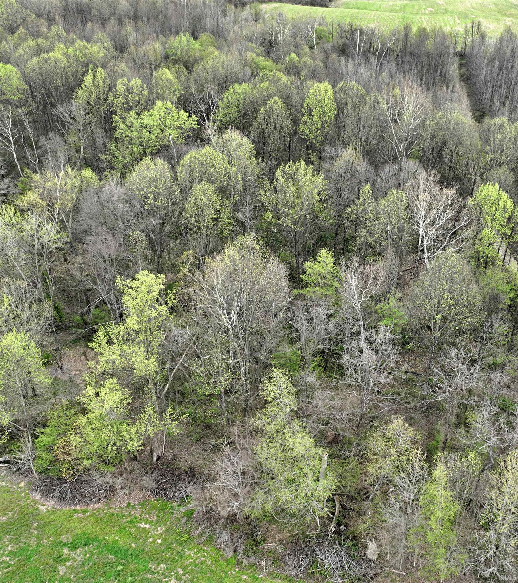 164 State Road Jasper, IN 47546 - Photo 4 of 8