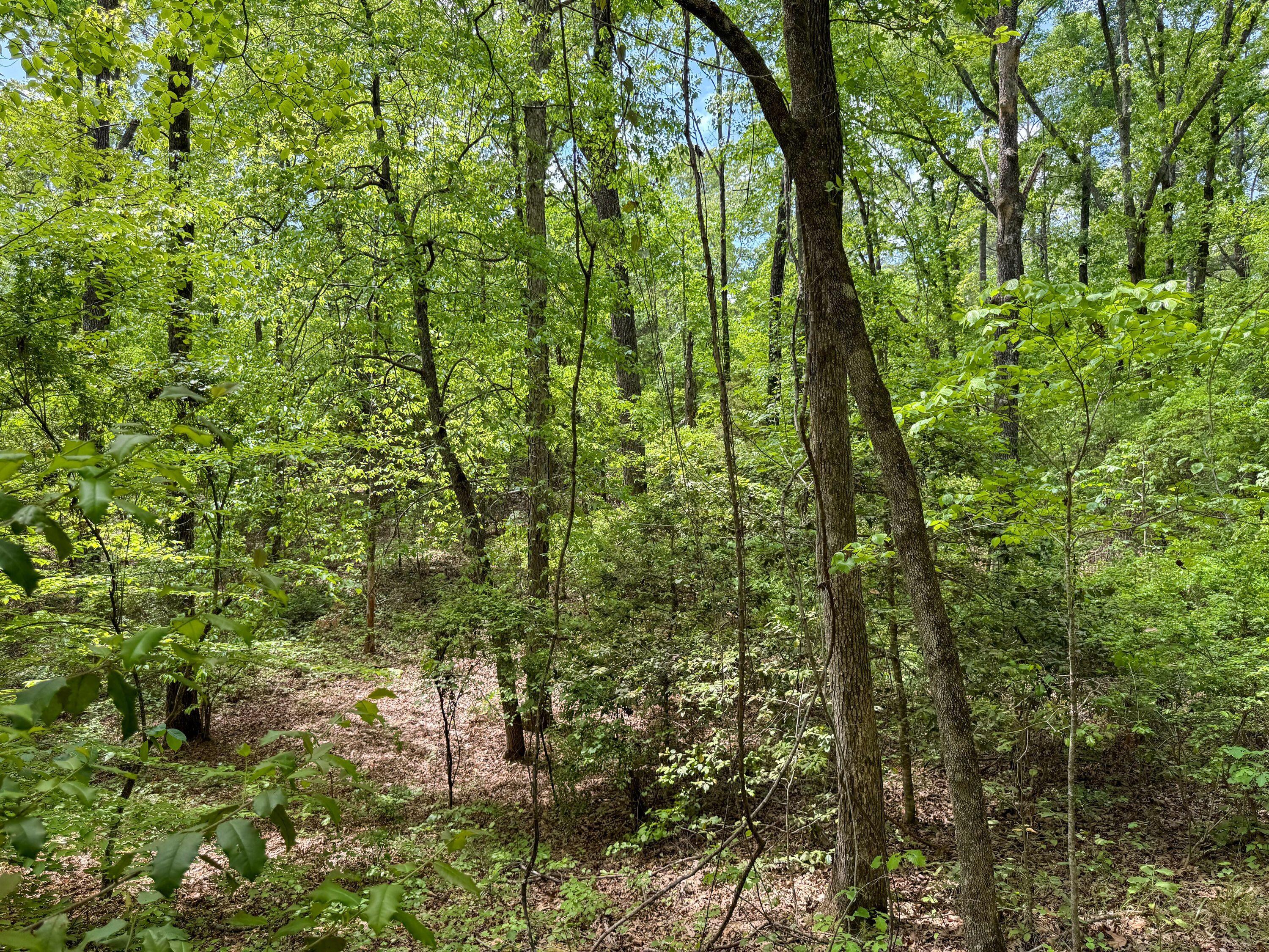Liberty Road Golden, MS 38847 - Photo 26 of 45 Gallery Image 26