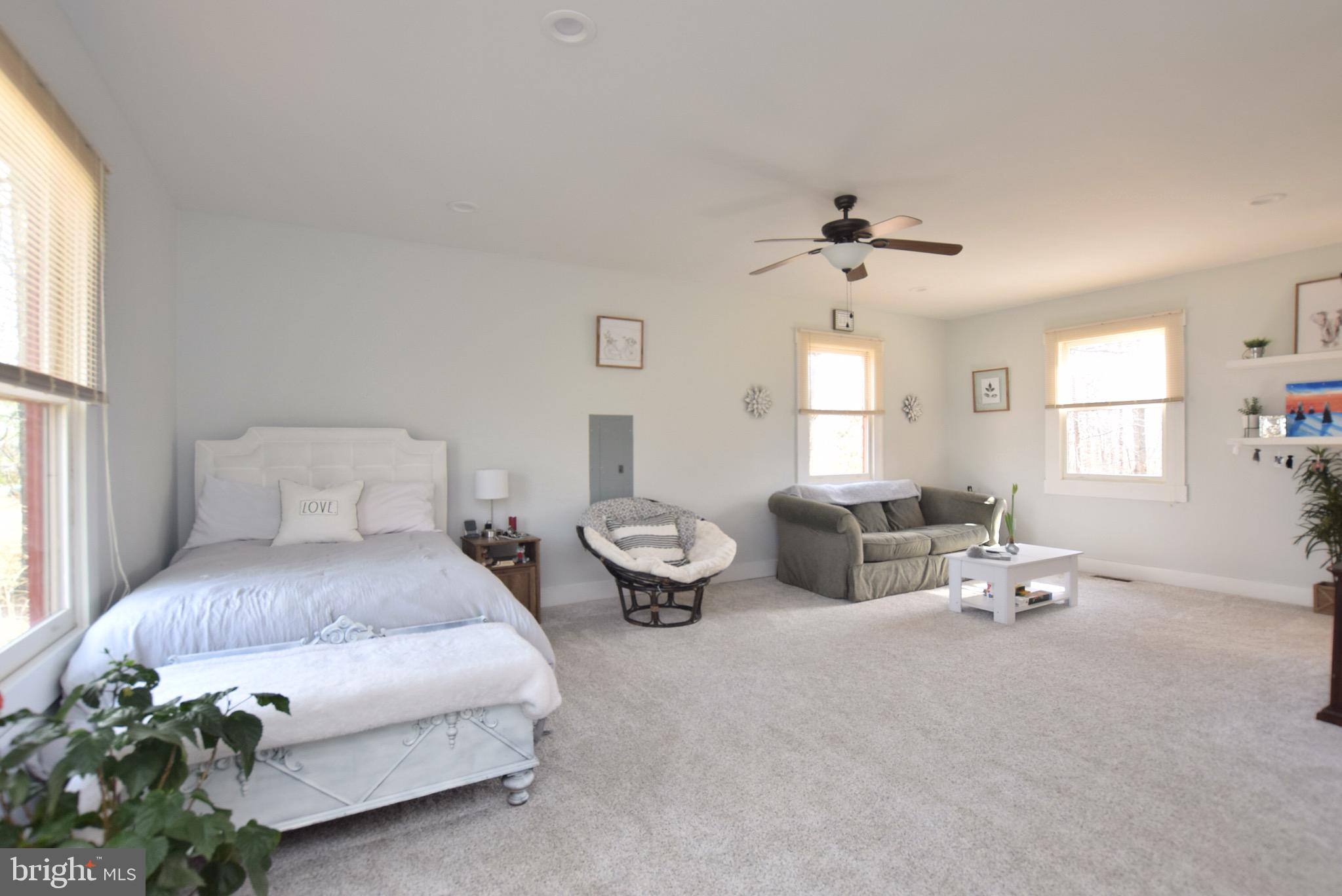 246 Lower View Road Strasburg, VA 22657 - Photo 11 of 23 Main Level Primary Suite