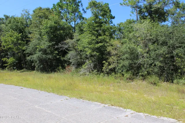 $30,000 | 3-4 Apollo Street, Chipley, FL 32428