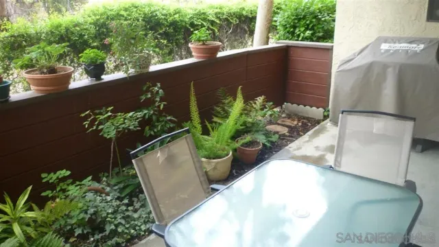 a view of a flower in a yard