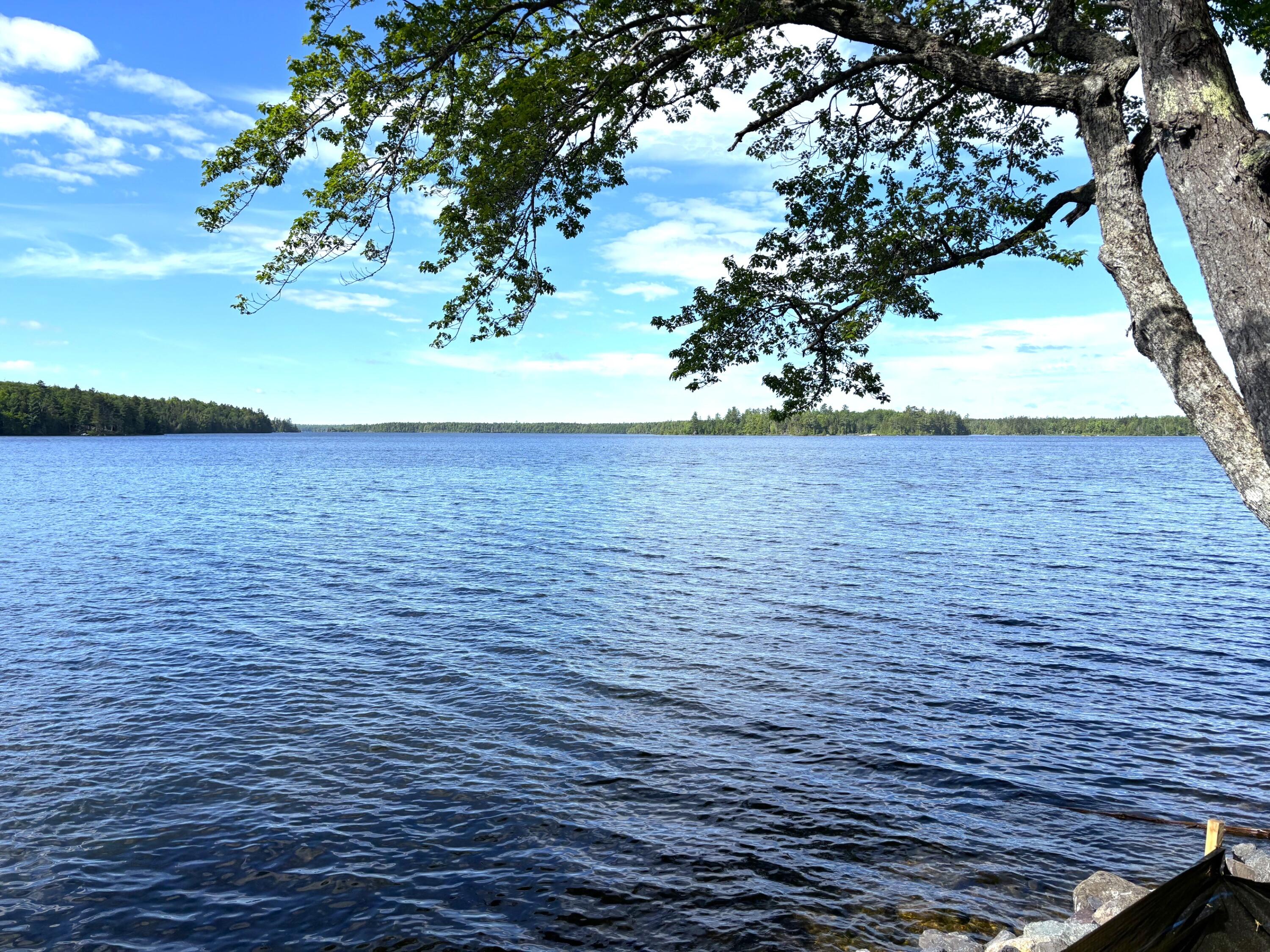 214 Camp Road Cooper, ME 04657 - Photo 35 of 51 Looking Across the lake