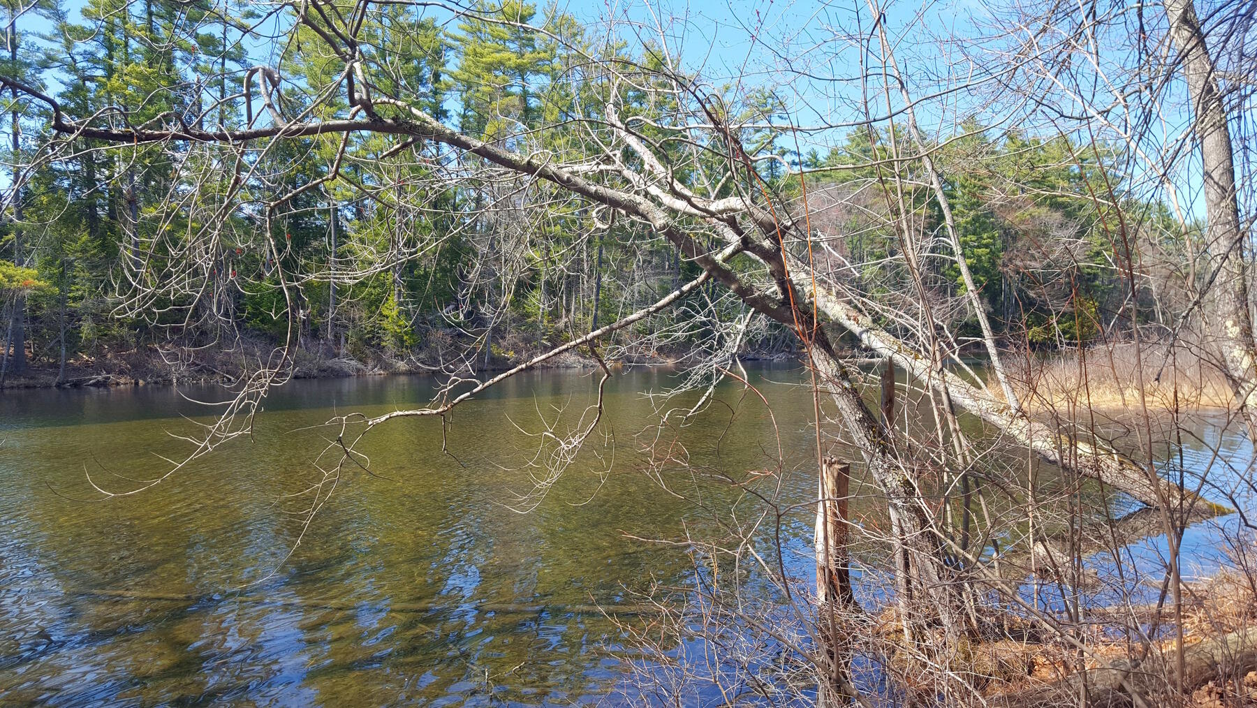 594 River Road Windham, ME 04062 - Photo 27 of 34