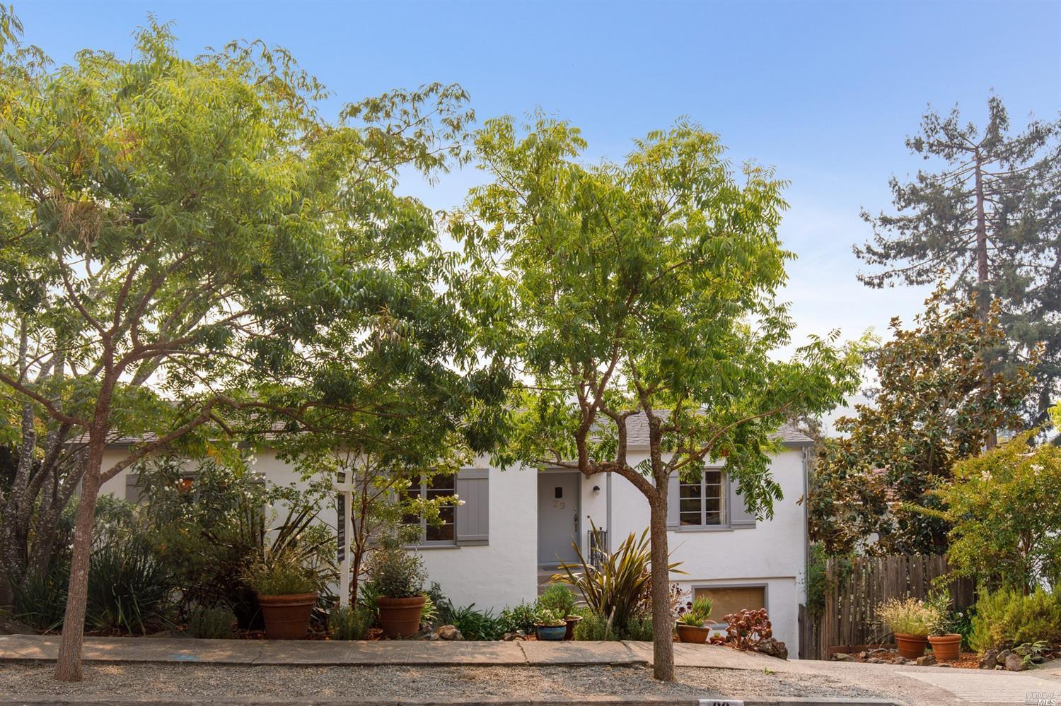 a tree in a yard next to a building