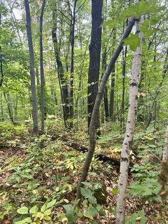 $26,900 | Xxx Xxx Lake, Randall, MN 56475