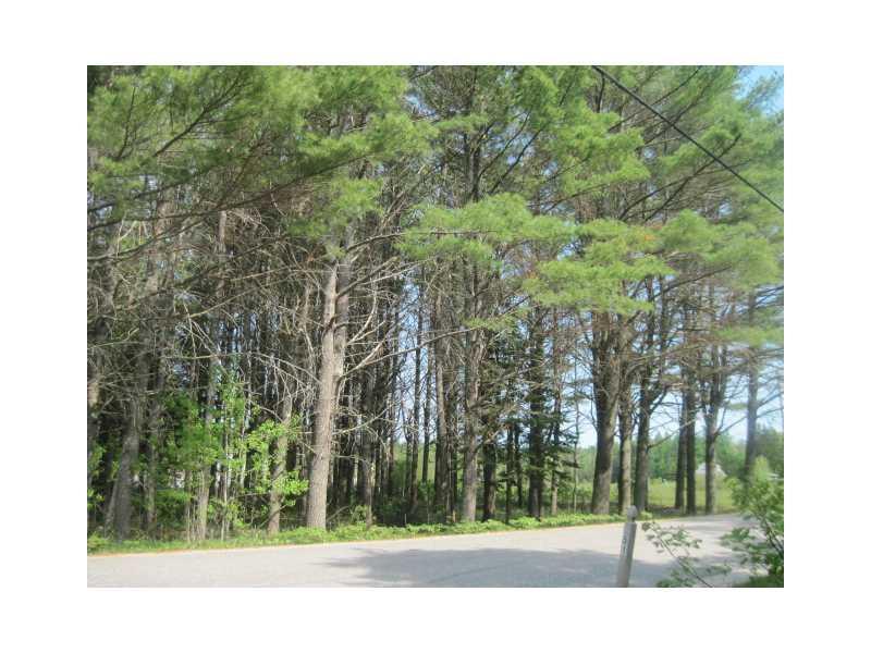 58 Hales Hill Road Sedgwick, ME 04676 - Photo 13 of 29 Land/Lot. The pine grove