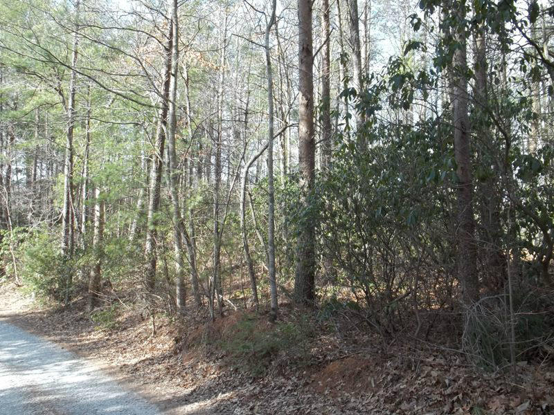 Lower Smithfield Road, Unit 2138 Tellico Plains, TN 37385 - Photo 11 of 11 100_2232