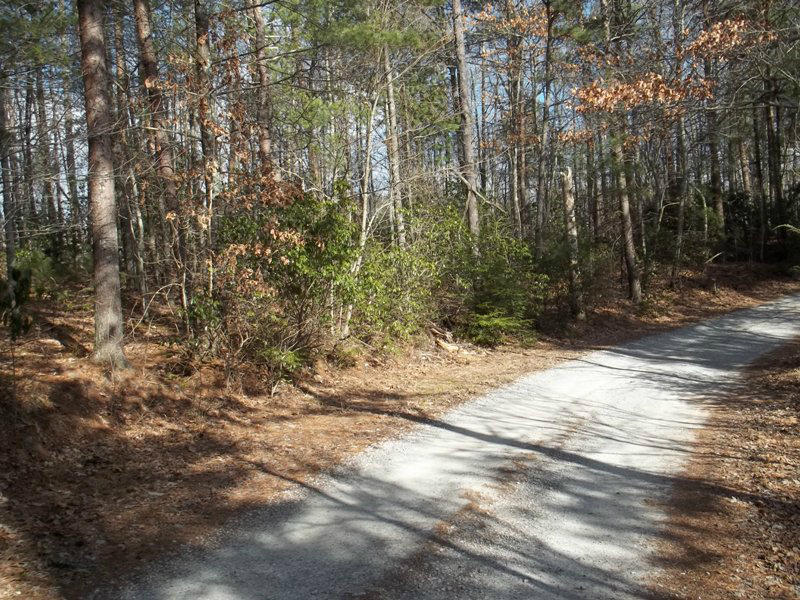 Lower Smithfield Road, Unit 2138 Tellico Plains, TN 37385 - Photo 8 of 11 100_2229
