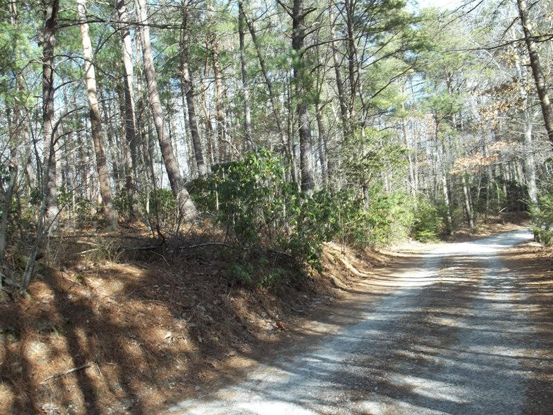 Lower Smithfield Road, Unit 2138 Tellico Plains, TN 37385 - Photo 10 of 11 100_2231