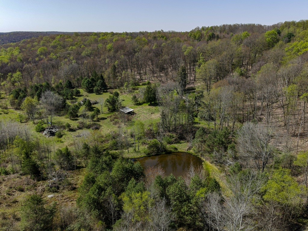 793 West Joseph Road St. Marys, PA 15857 - Photo 5 of 40