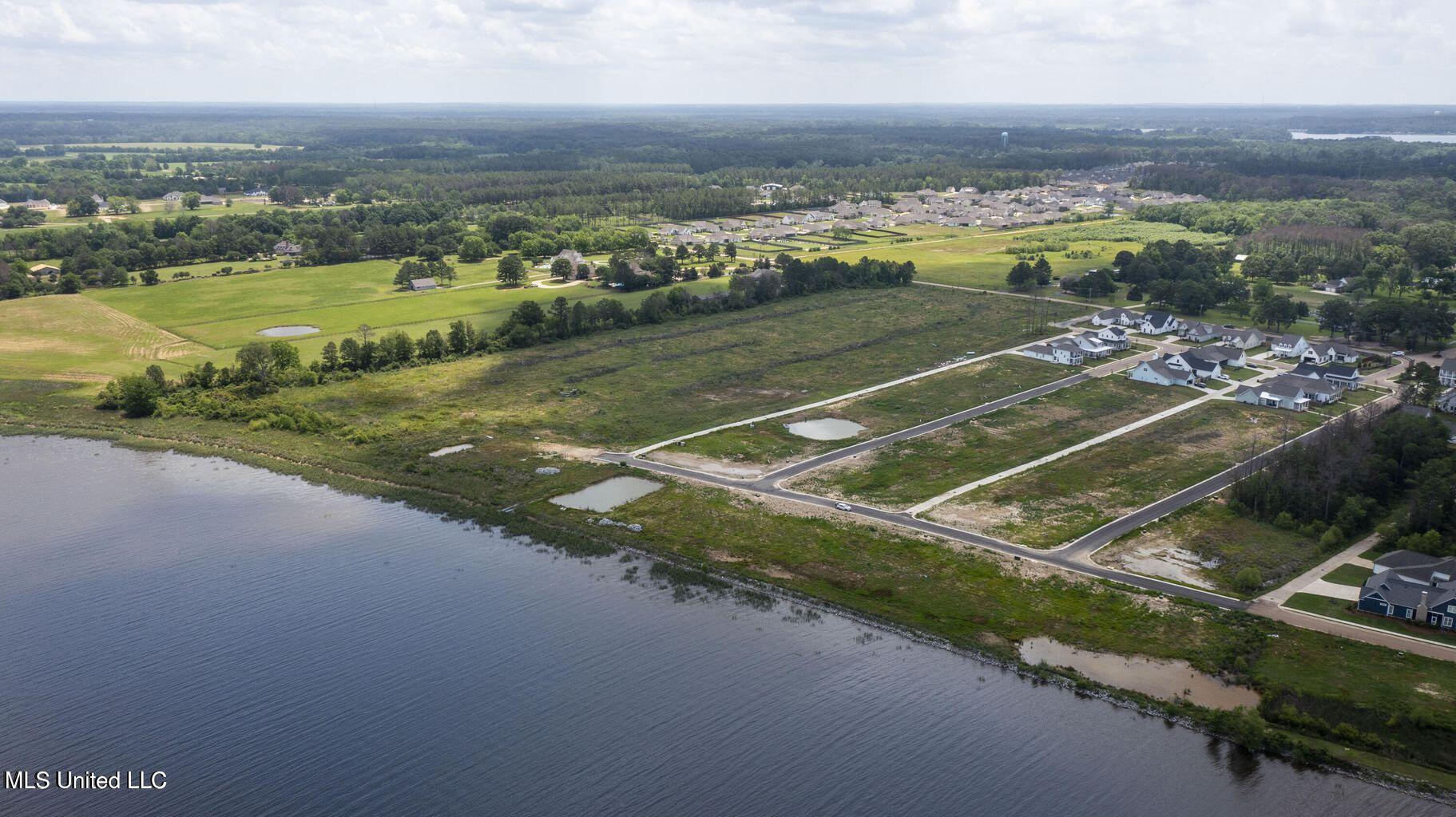193 Arbor View Brandon, MS 39047 - Photo 7 of 20 Arbor Landing 9