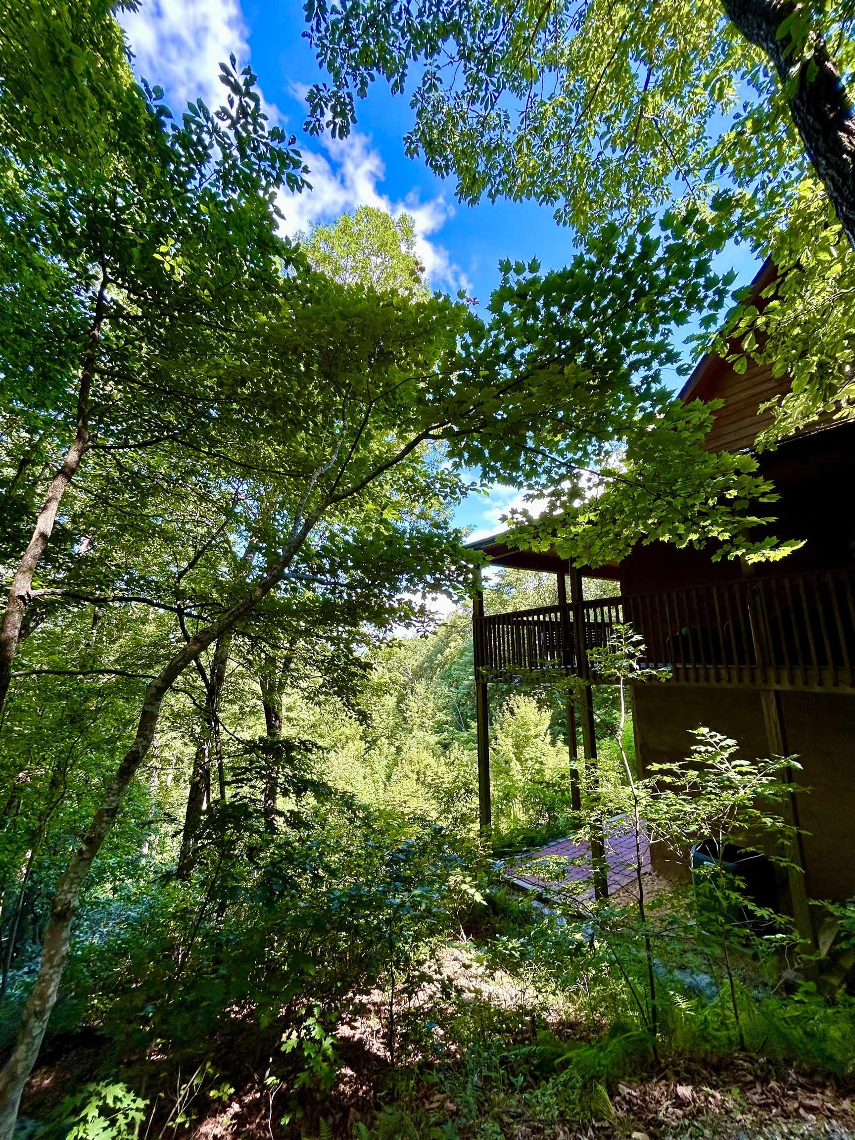 80 Rosemond Road Cleveland, SC 29635 - Photo 4 of 45