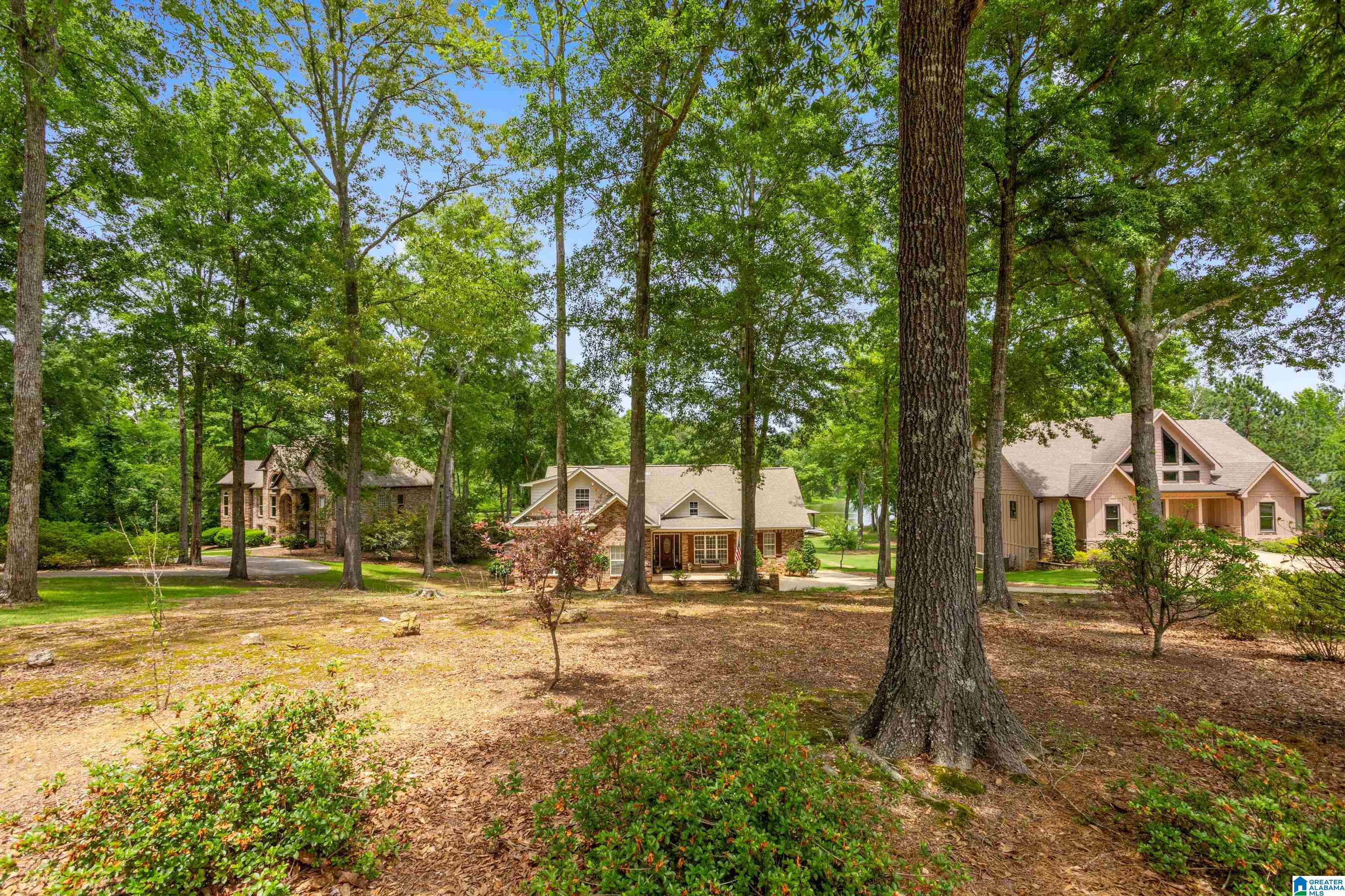 113 Harmons Island Road Cropwell, AL 35054 - Photo 36 of 61