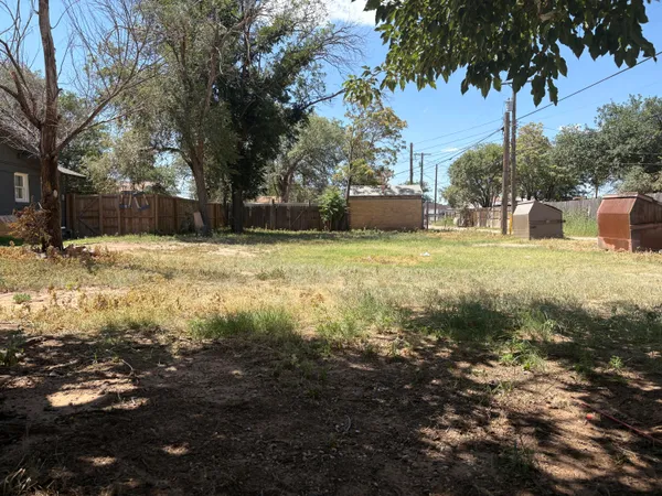 a view of a yard with large trees