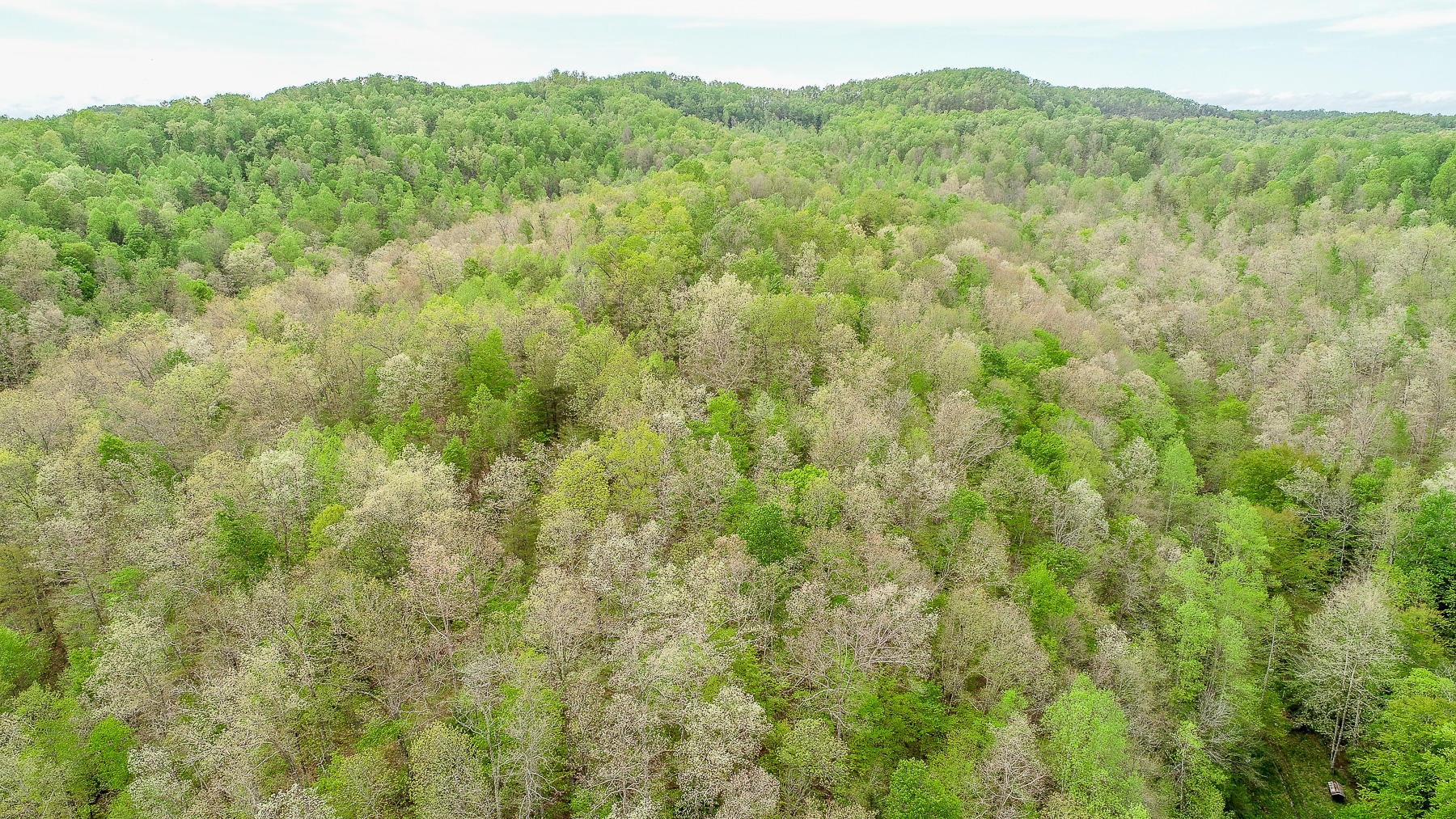 2592 Ratliff Branch Road Frenchburg, KY 40322 - Photo 28 of 30 DJI_0614