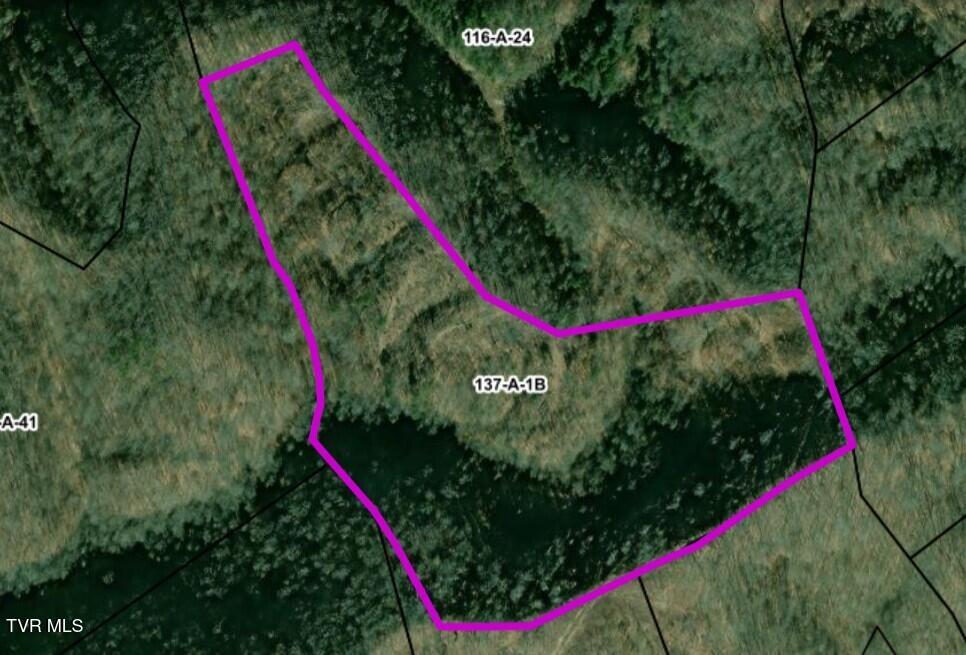 Tbd Fairview Road Duffield, VA 24244 - Photo 2 of 4 Screenshot 2026-06-19 085832
