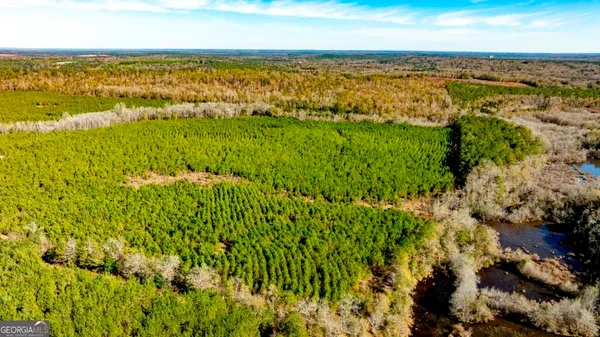 $670,649 | 0 Mead Rd & Cemetery Road, Oglethorpe, GA 31041