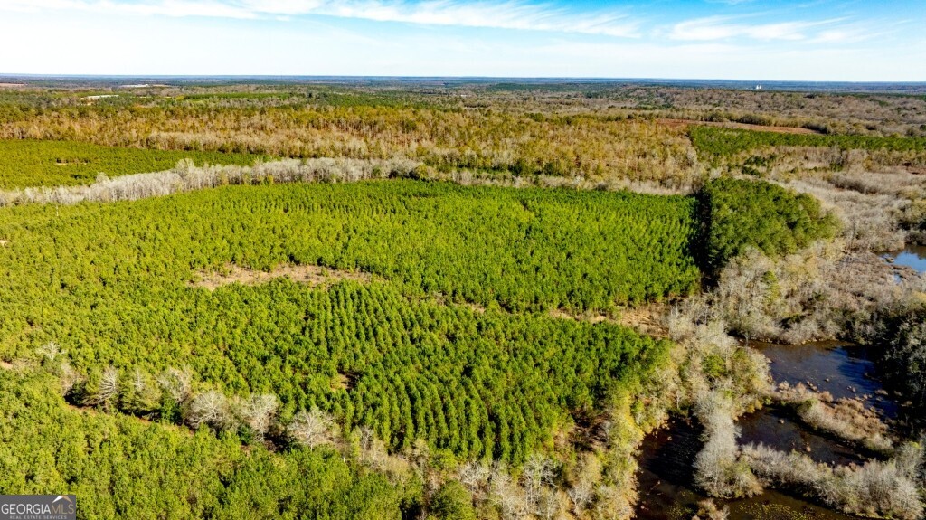 0 Mead Rd & Cemetery Road Oglethorpe, GA 31041 - Photo 1 of 26 a view of an ocean