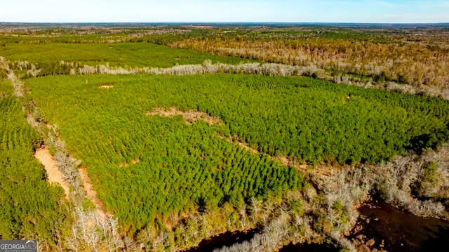 a view of an ocean from a yard