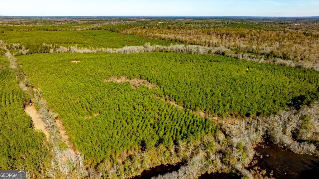 0 Mead Rd & Cemetery Road Oglethorpe, GA 31041 - Photo 12 of 26 a view of an ocean from a yard