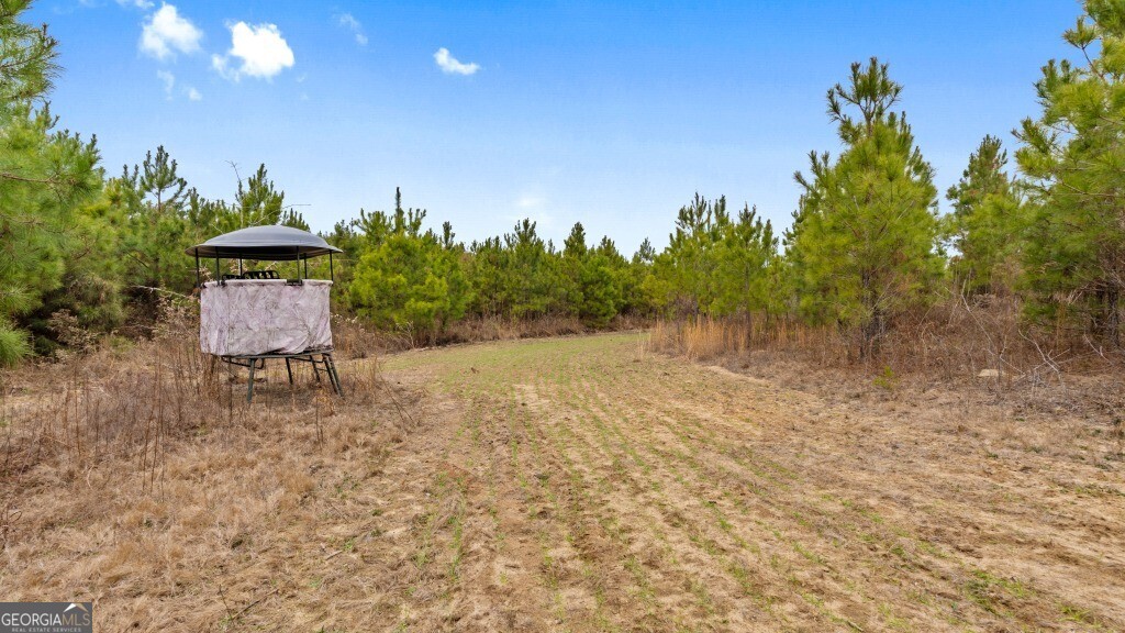 0 Mead Rd & Cemetery Road Oglethorpe, GA 31041 - Photo 13 of 26