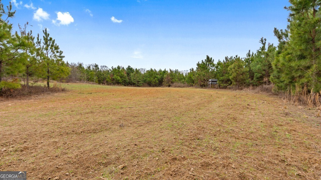 0 Mead Rd & Cemetery Road Oglethorpe, GA 31041 - Photo 15 of 26