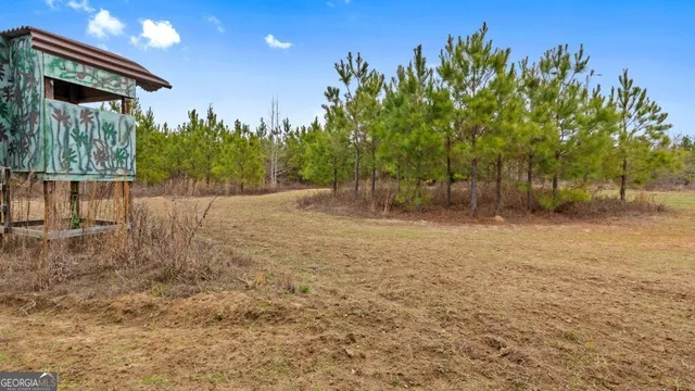 a view of an outdoor space